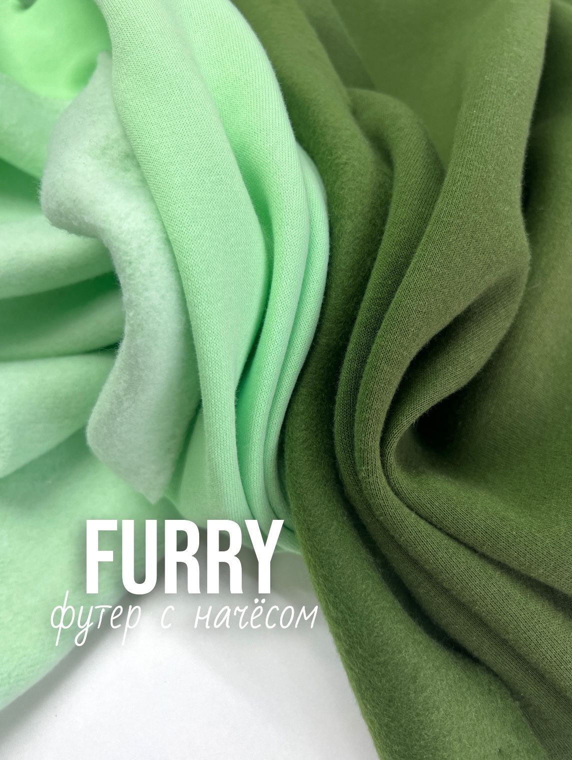 FURRY whatsapp image 2025-11-19 at 14.37.25