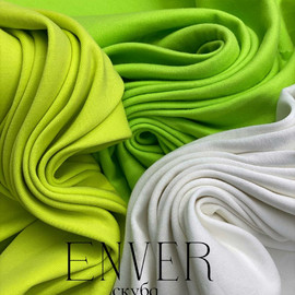 ENVER msg-1001491813330-15348