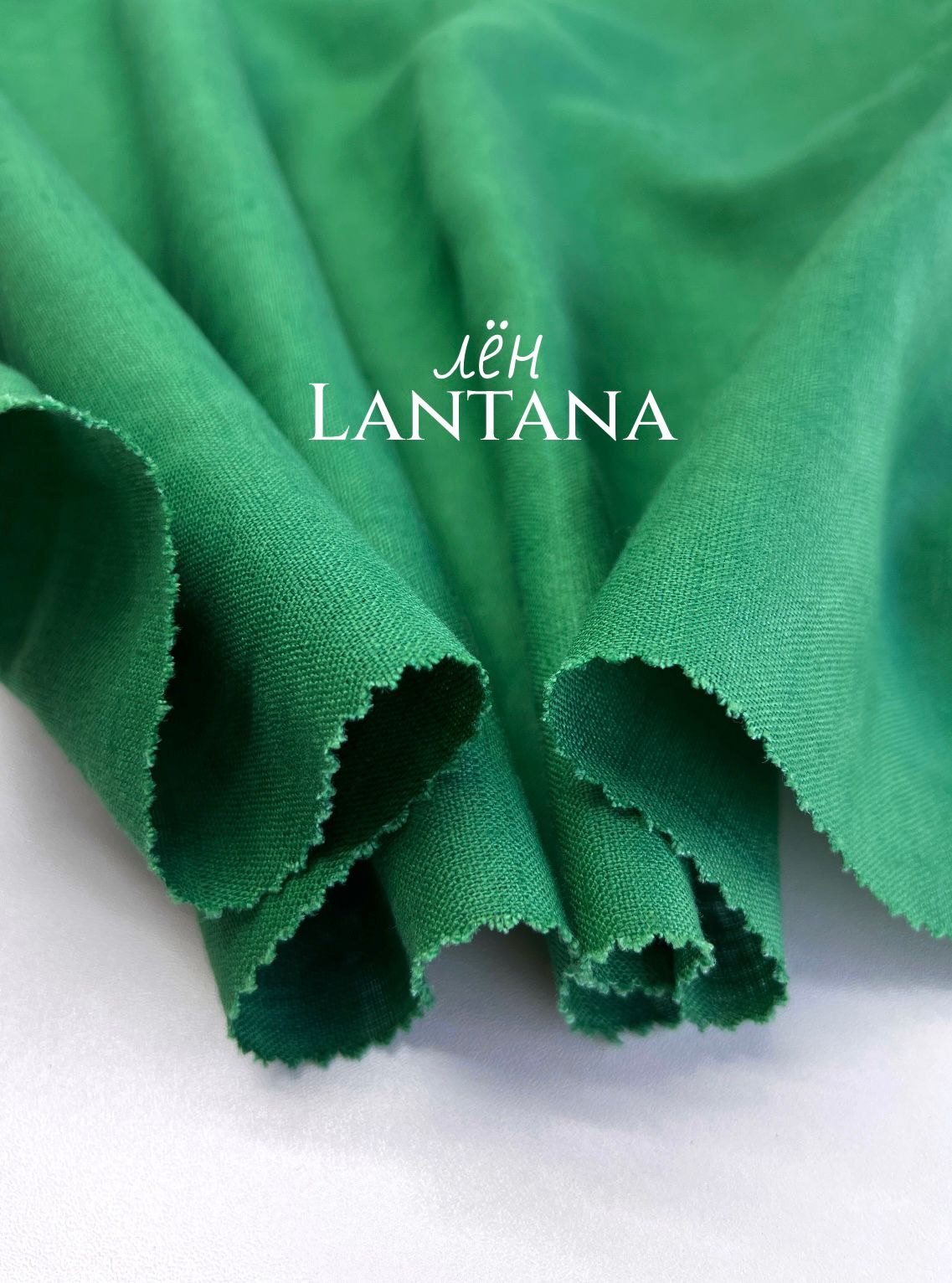 LANTANA whatsapp image 2025-11-20 at 14.22.46