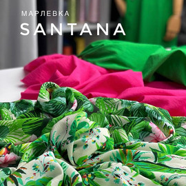 SANTANA image-20146-20210923105216
