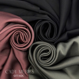 CADY MERIES 27b19952-2f90-4751-a4e6-c7d4f642e0e0