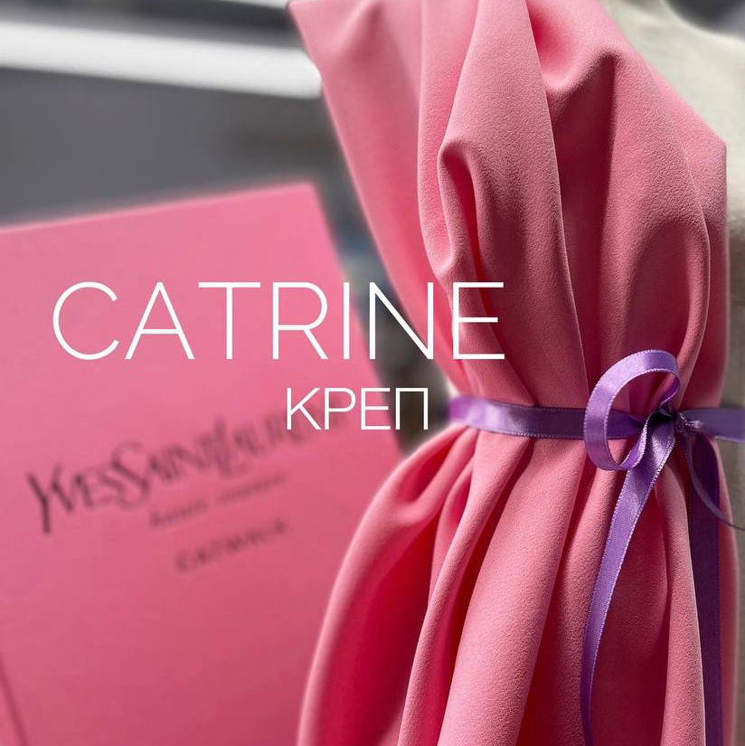 CATRINE image-24175-20220606140937