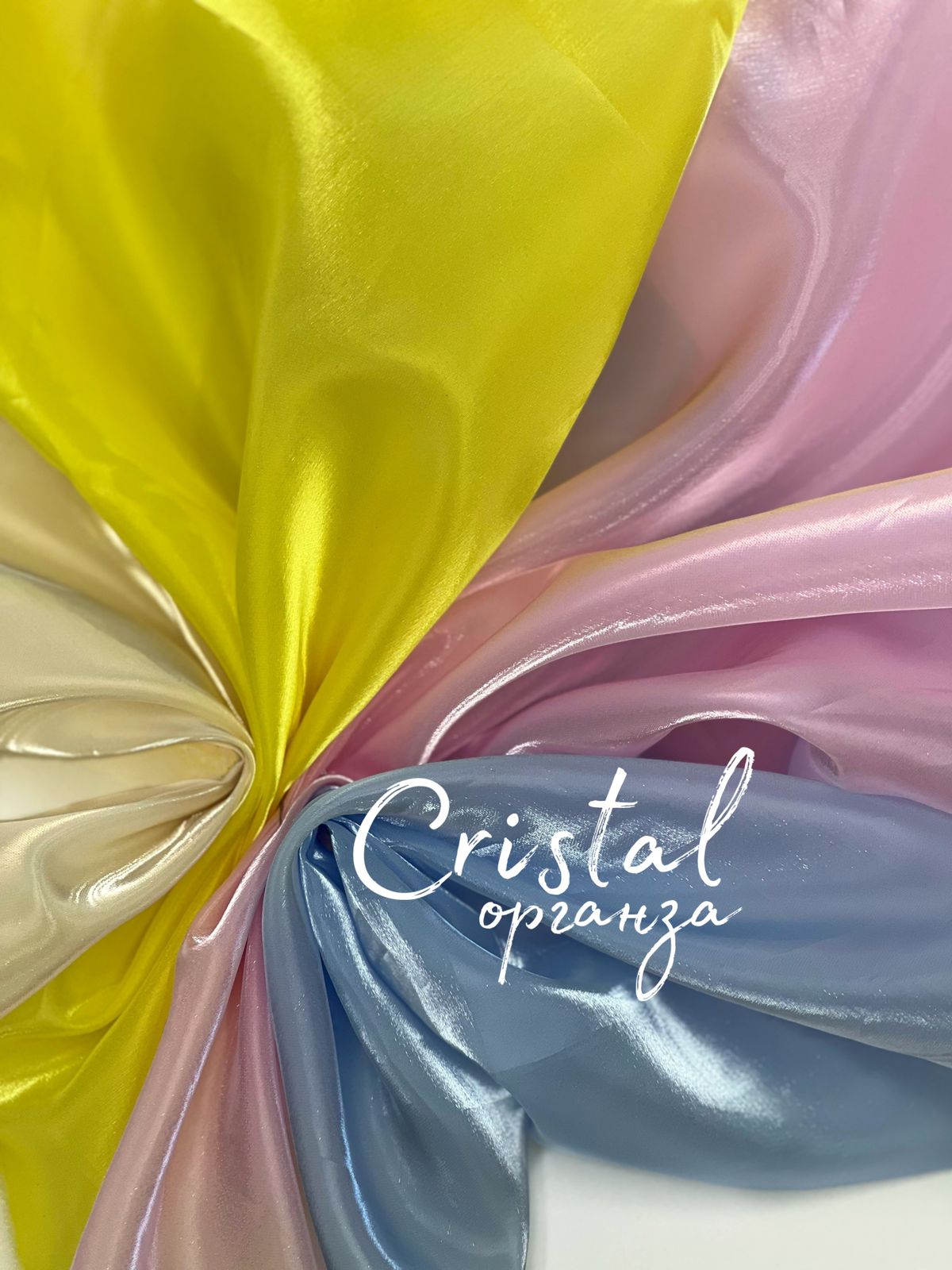 CRISTAL whatsapp image 2023-08-17 at 17.59.11