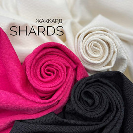SHARDS photo_2022-12-15_17-48-31