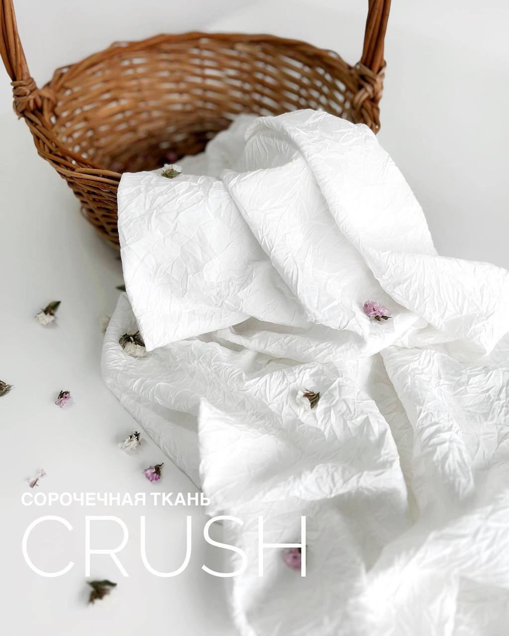 CRUSH photo_2023-05-23_17-04-02