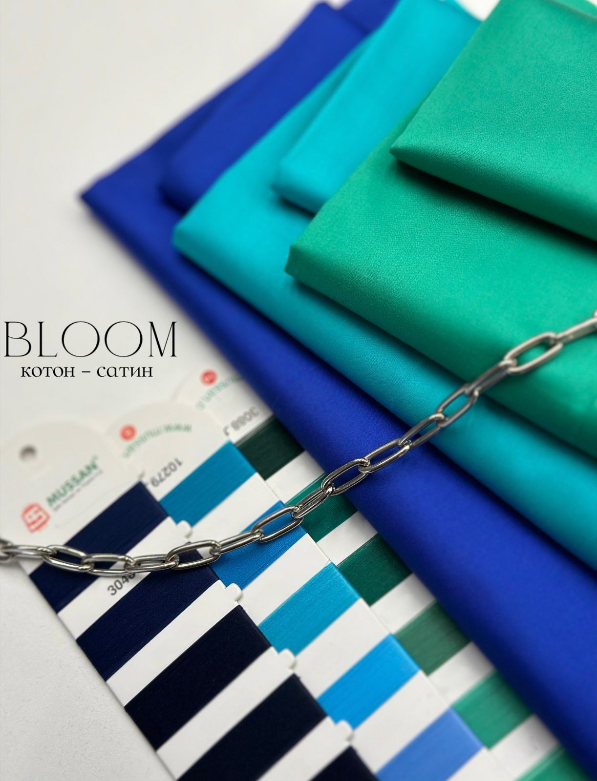 BLOOM 02e8d0f1-2294-4fd9-9ab7-33290dd8454a