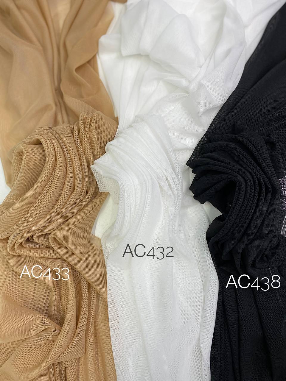 ELASTIC photo1688285083 (1)