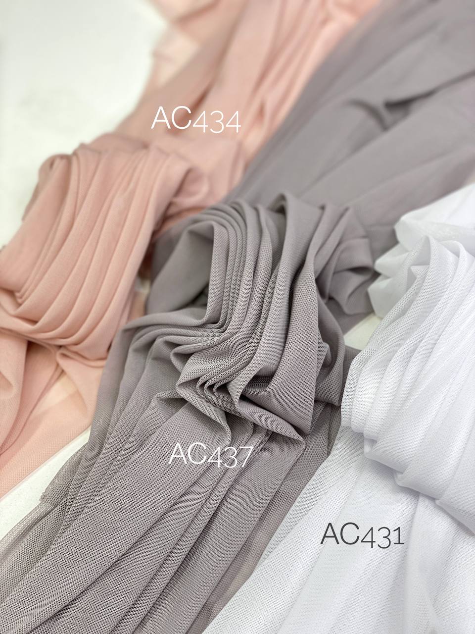 ELASTIC photo1688285083 (2)