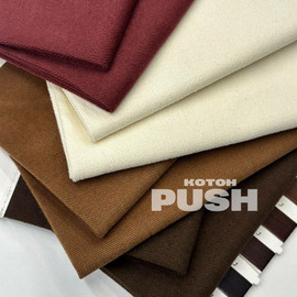 PUSH photo_2026-04-17_12-48-50