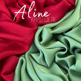 ALINE photo_5228892374304935879_y