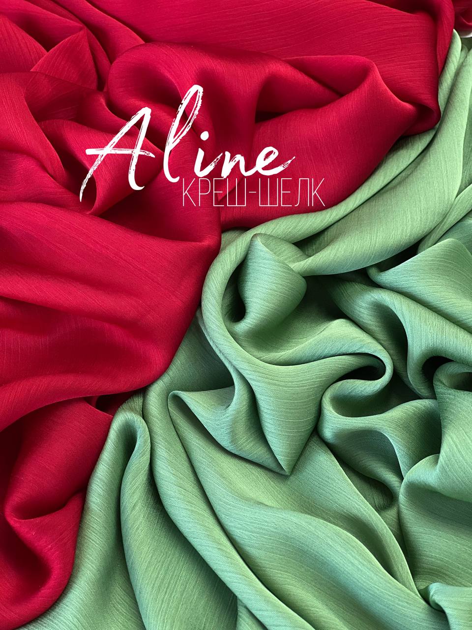 ALINE photo_5228892374304935879_y