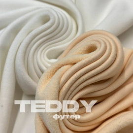 TEDDY eb528a17-4239-45d6-887a-edfa7a196668