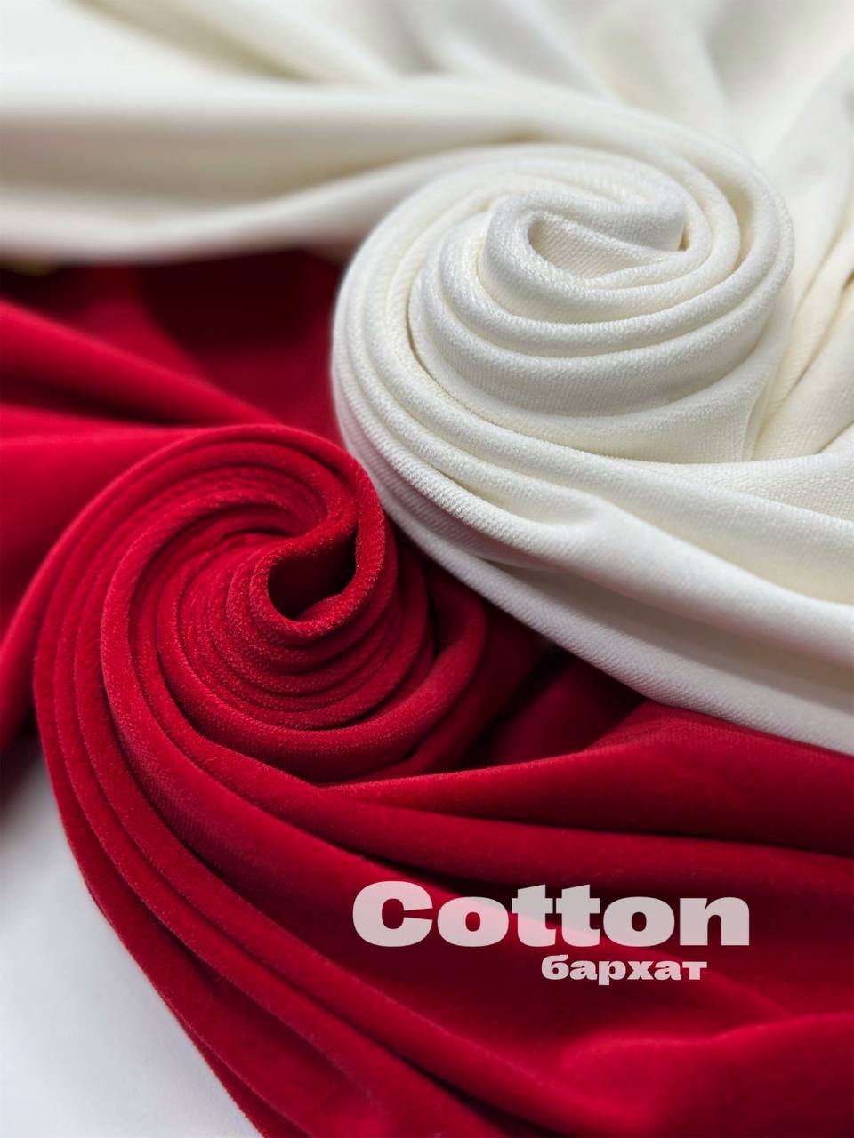 COTTON photo_2026-04-23_14-30-31