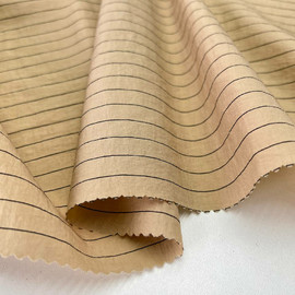 PARADOX STRIPE b9547728-a251-4d0d-97ce-f55718ad712b
