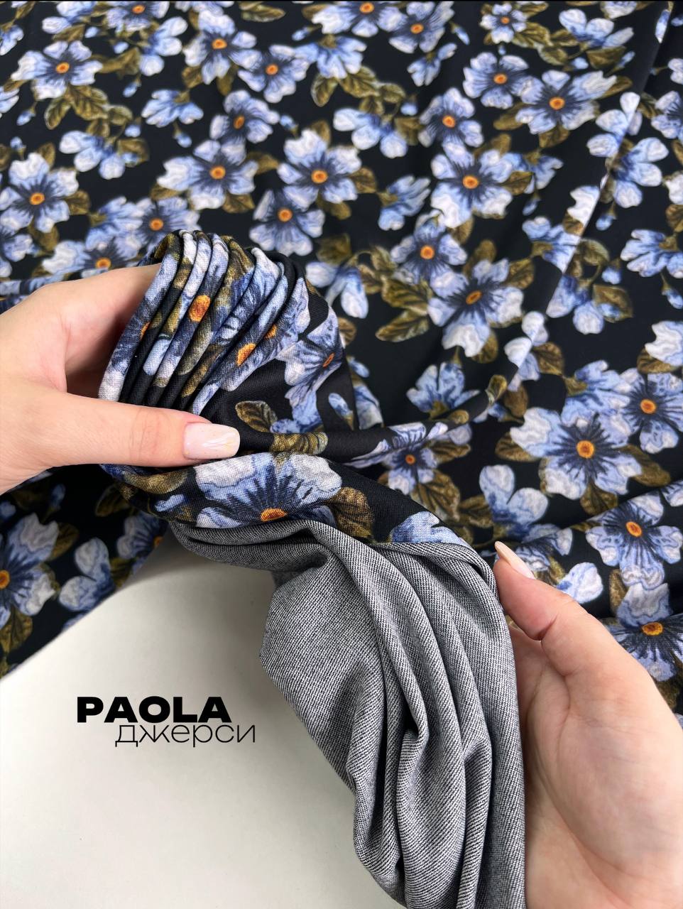 PAOLA b24a3dba-0abd-4cab-acd4-f6ba5eaf8783