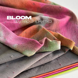BLOOM dd12dcf6-7a1a-4225-b2e5-75426007e2d4