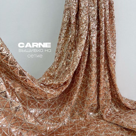 CARNE c1f1a79a-a1f6-4a04-b363-4ab2d3f1fc0d
