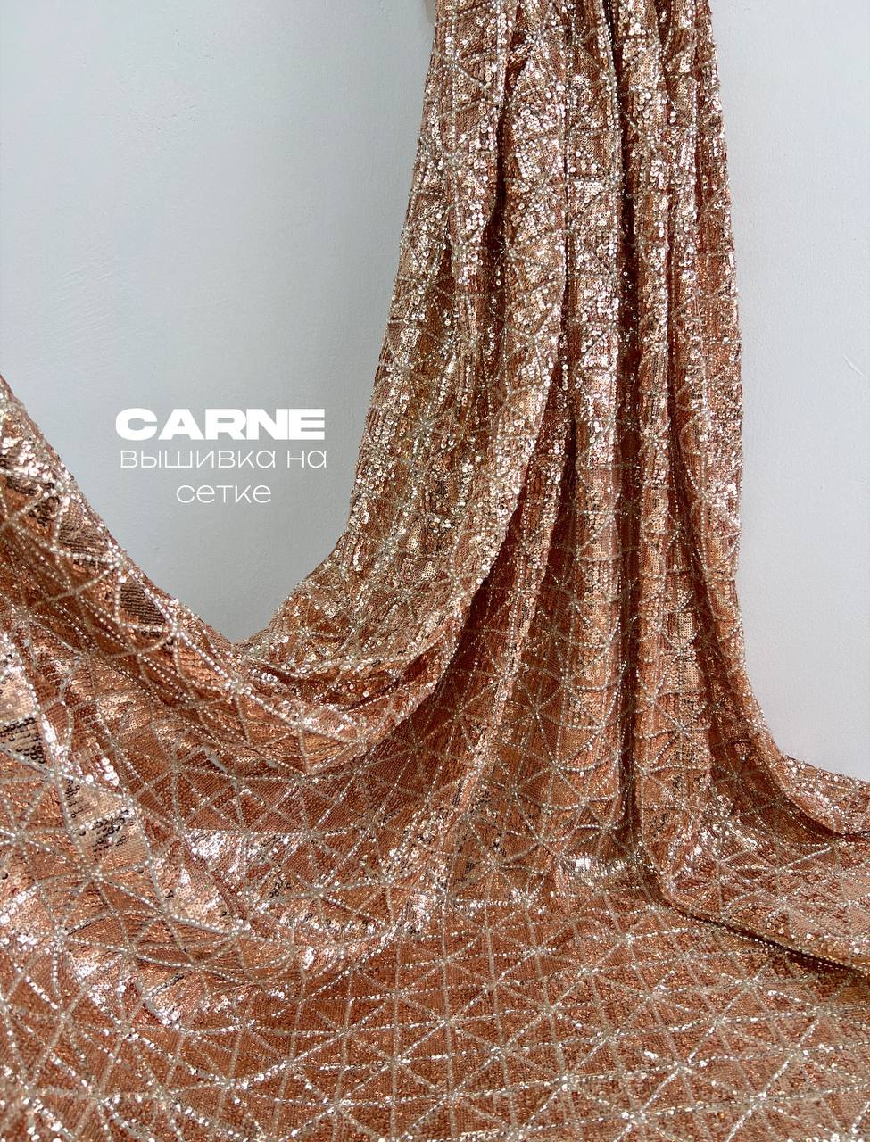 CARNE c1f1a79a-a1f6-4a04-b363-4ab2d3f1fc0d