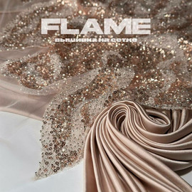 FLAME 3884e2c1-4df0-4af7-912c-43a0a2e4ae52