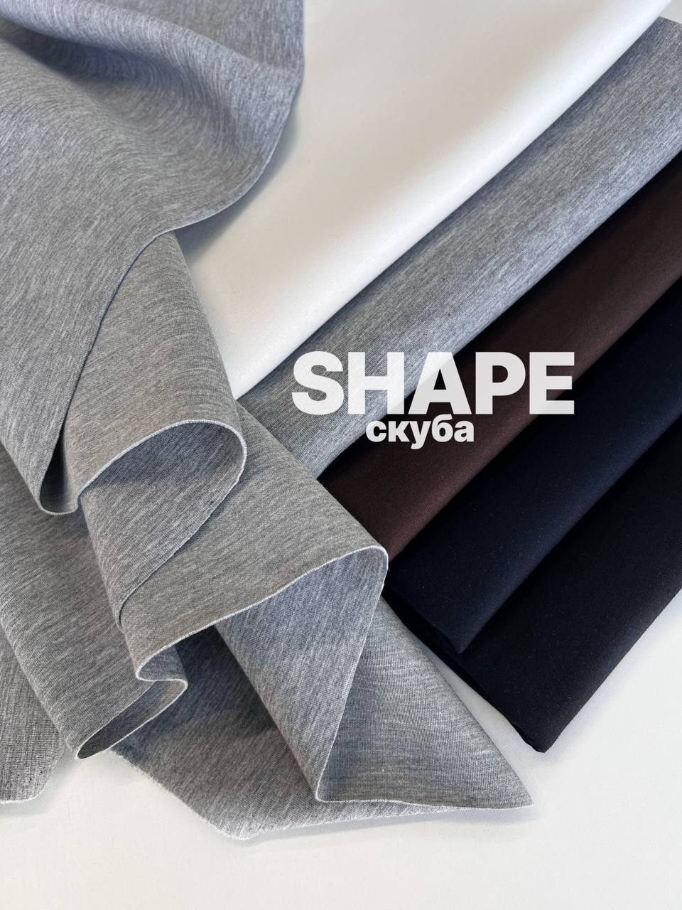 SHAPE photo_2026-08-10_15-55-33