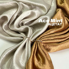 ACE MINT photo_2026-08-19_12-34-09