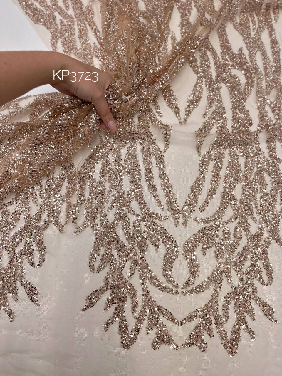 CORAL 27554f2c-3749-4062-b2e1-515a954e68b5