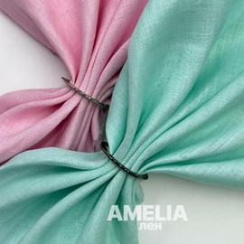 AMELIA photo_2026-06-26_11-29-17