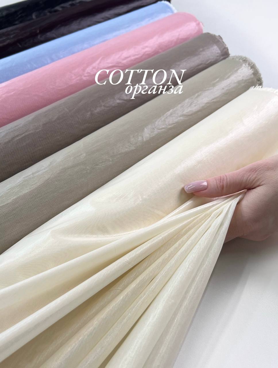 COTTON photo_2026-04-23_18-04-02