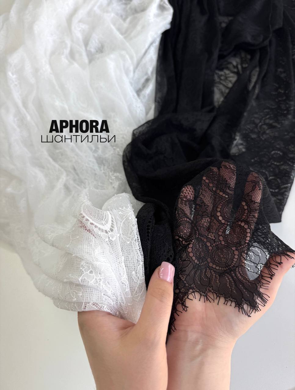 APHORA photo_2026-05-21_16-09-25