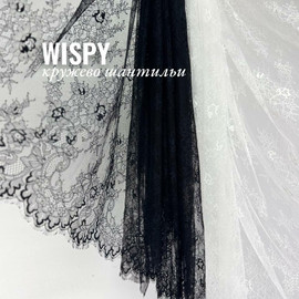 WISPY photo_2026-05-25_14-21-47