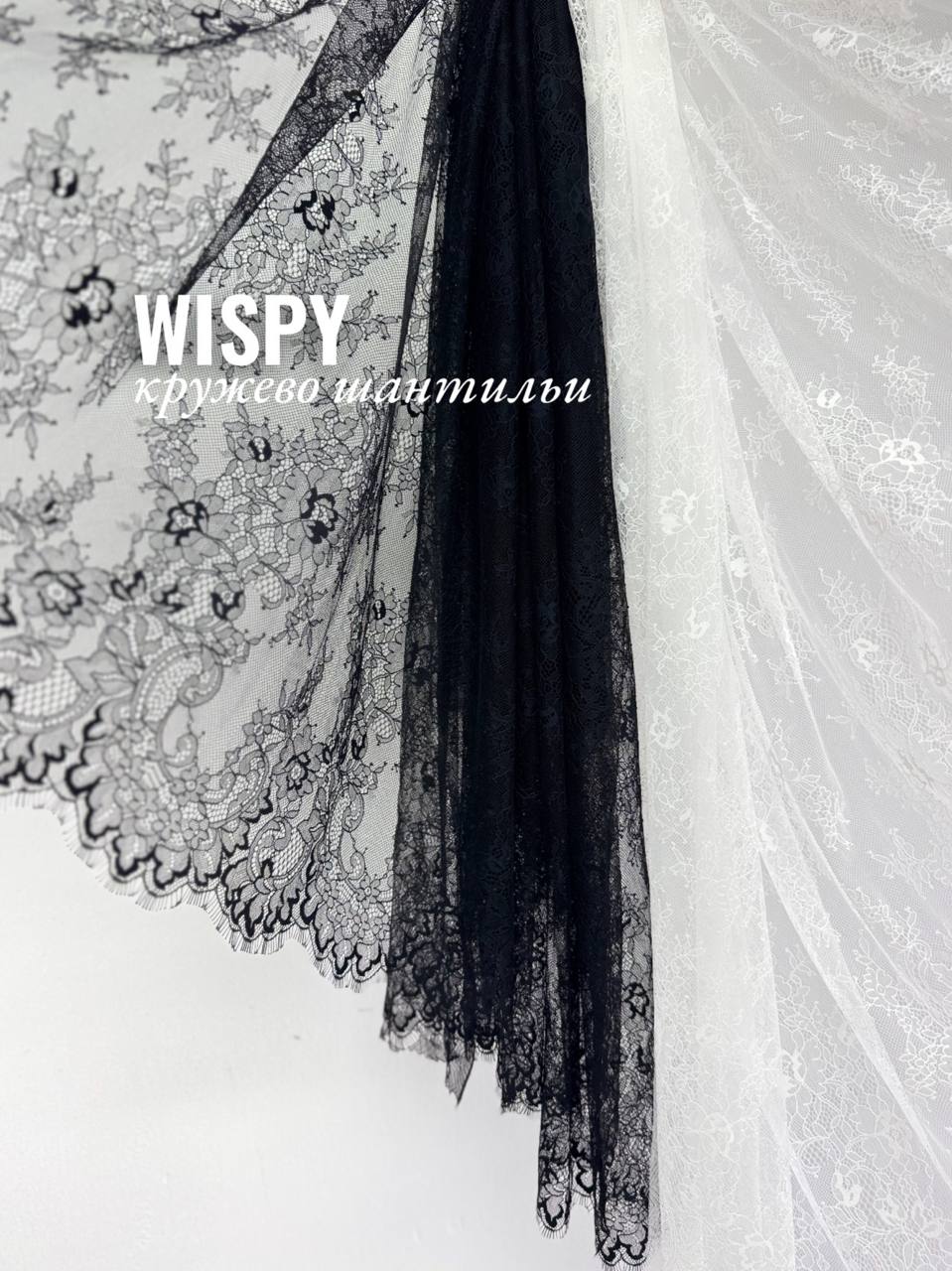 WISPY photo_2026-05-25_14-21-47