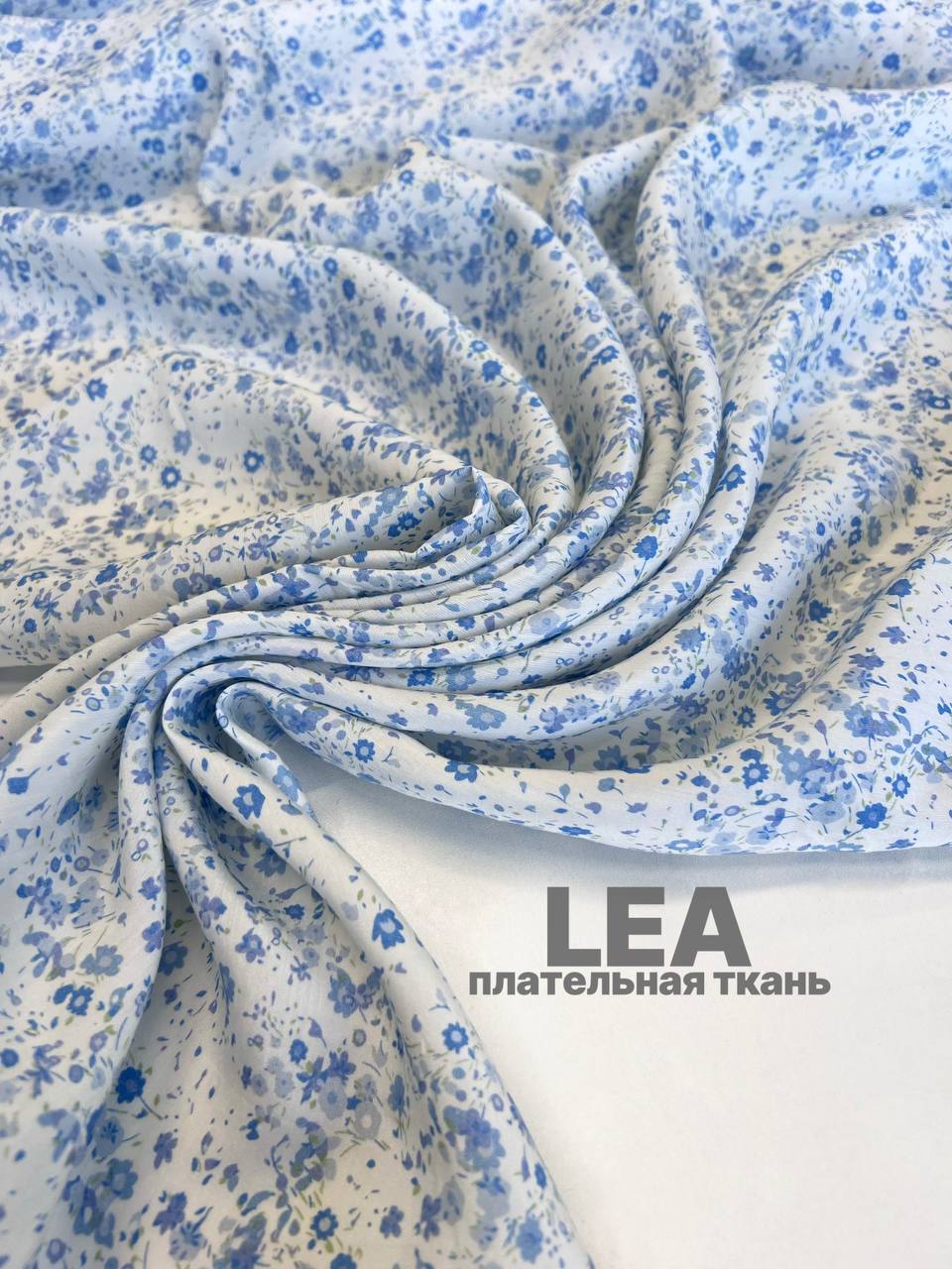 LEA photo_2026-06-04_18-17-09