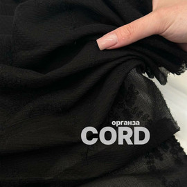 CORD photo_2026-06-05_13-41-33