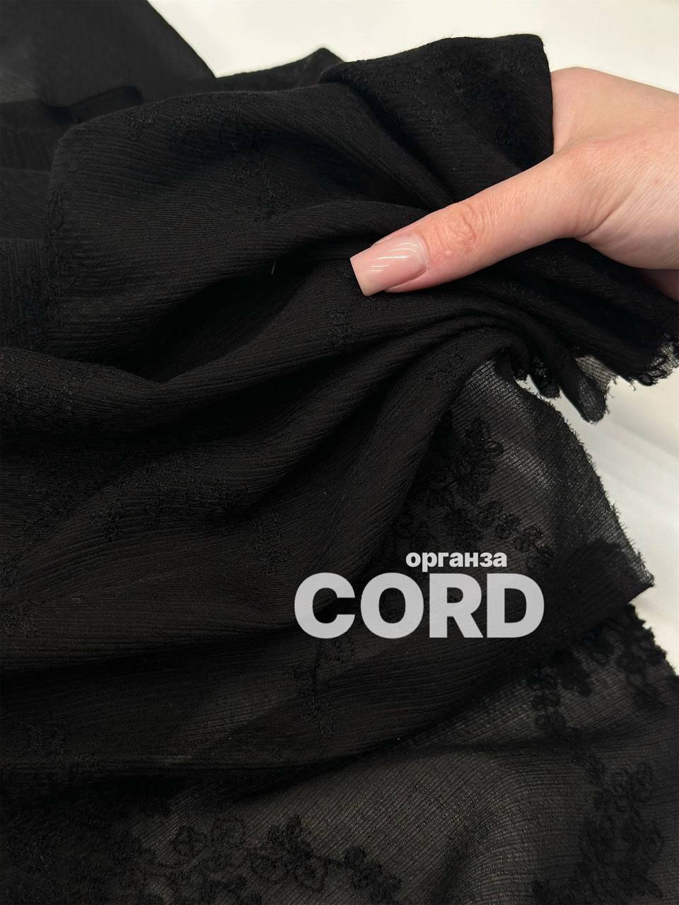 CORD photo_2026-06-05_13-41-33