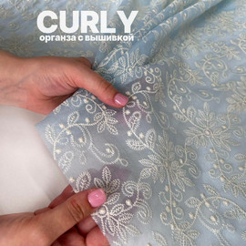 CURLY photo_2026-06-29_12-11-39