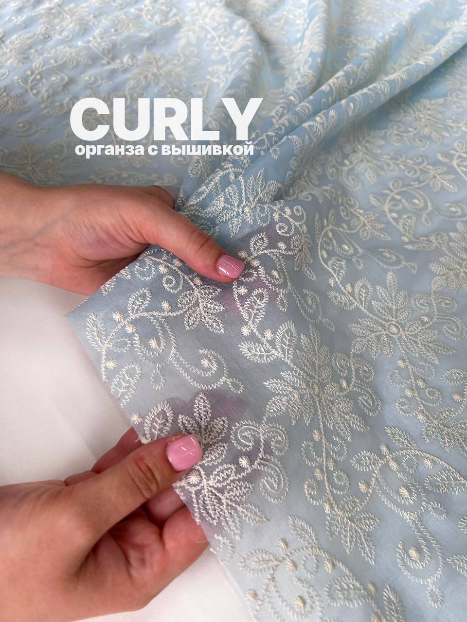 CURLY photo_2026-06-29_12-11-39