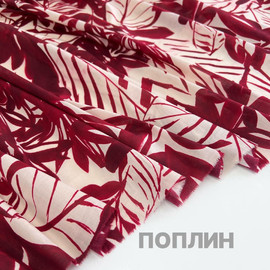 Листья photo_2026-07-01_13-28-54