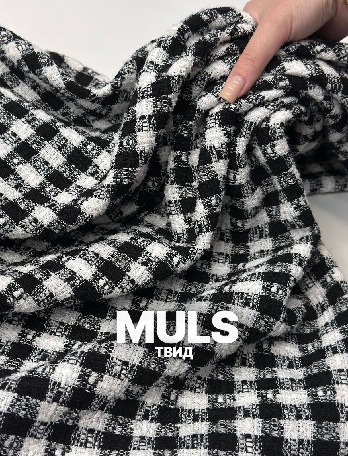 MULS photo_2026-09-05_13-00-11