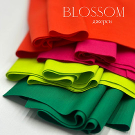 BLOSSOM cfacca67-b05d-4673-a1ff-bf983c539330