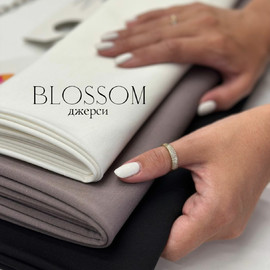 BLOSSOM dede8bf7-5ffb-4c5a-8bb5-c03016250576
