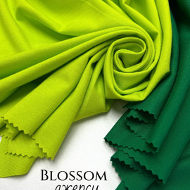 BLOSSOM whatsapp image 2025-11-17 at 14.07.24