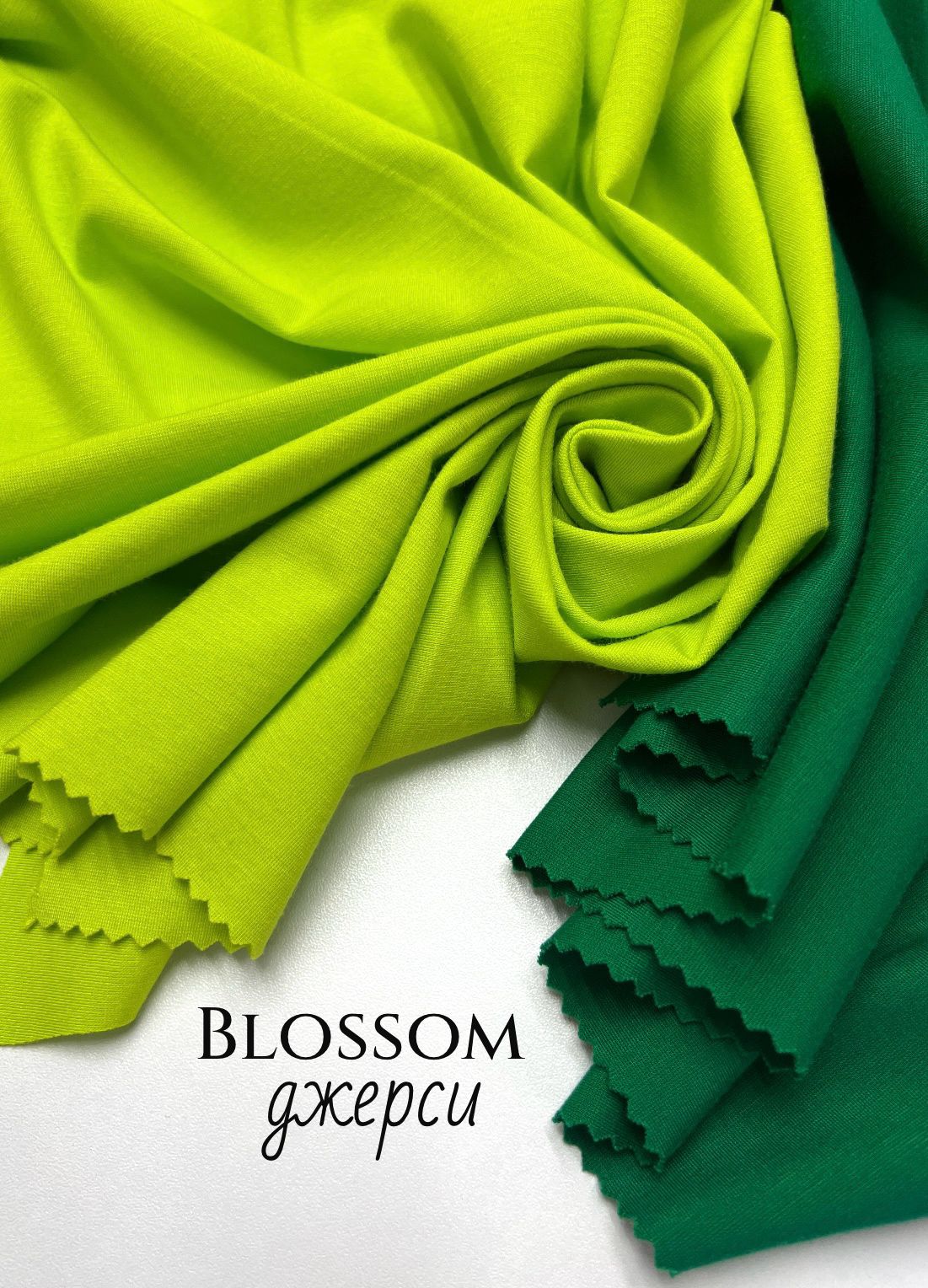 BLOSSOM whatsapp image 2025-11-17 at 14.07.24