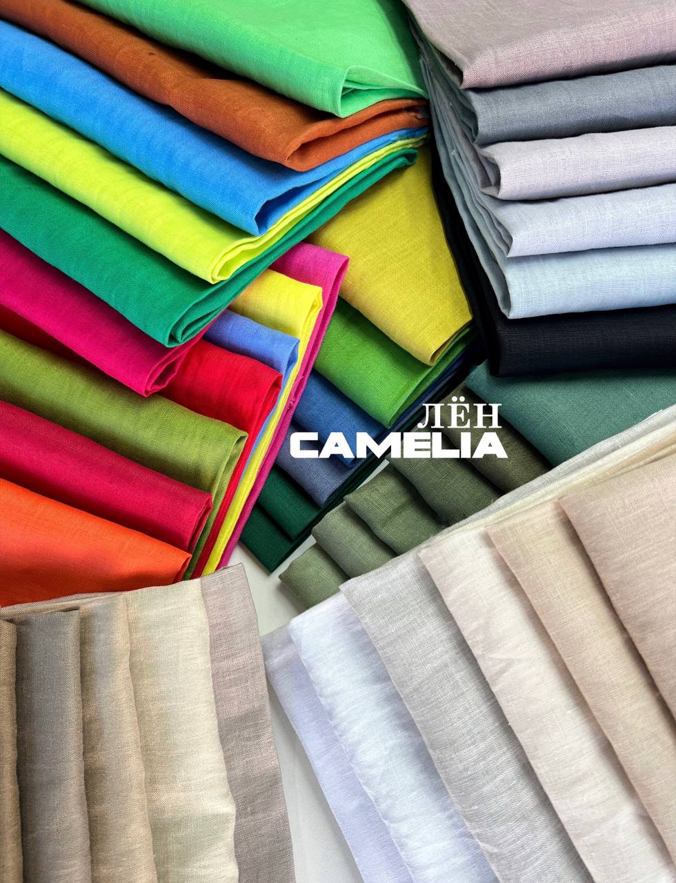 CAMELIA 837038f8-4bcc-4362-90c9-ea4911376c80