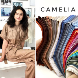 CAMELIA file20210402030303_fri2398