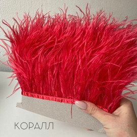 Кр.Корраловый