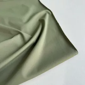 олива